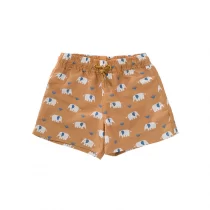 paidiko-magio-vermouda-fresk-elephant