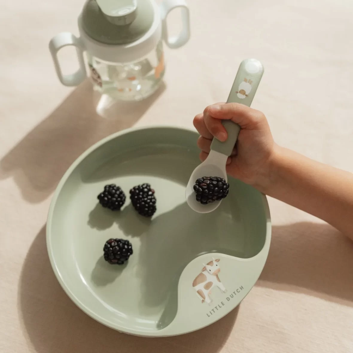 MEP108031065399_03_1440x