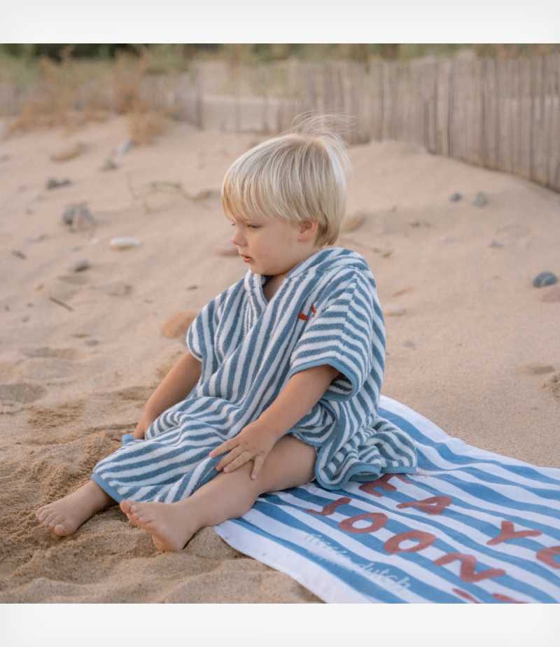 little-dutch-petseta-thalassis-ocean-sea-life-ocean-blue-3