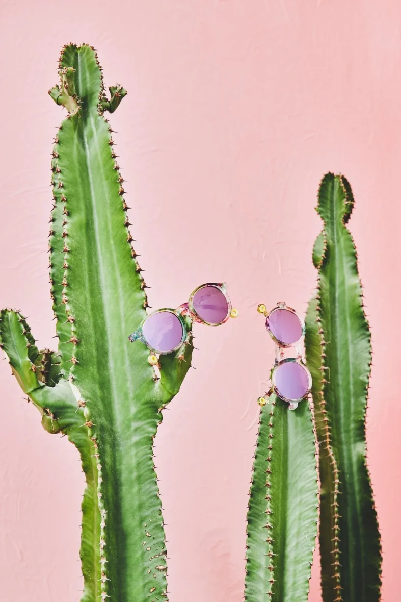 OSJ202E-FP_02_3ed89da1-1101-48e3-a5e9-45b75ecf1e38_1440x