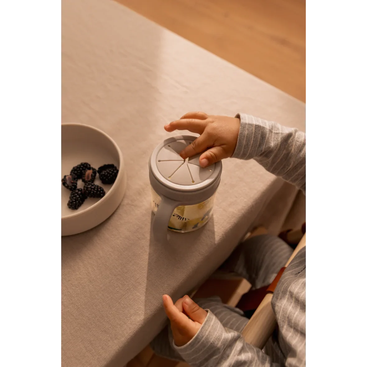 a29udGFpbmVyL25ldy80OTQ5LzE1NTc3MTg5djEucG5n_0ab2207e-f515-434a-b7e4-9a418cc07465_1200x1200