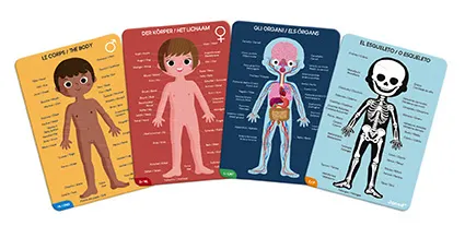 3700217326814_3D_165126988