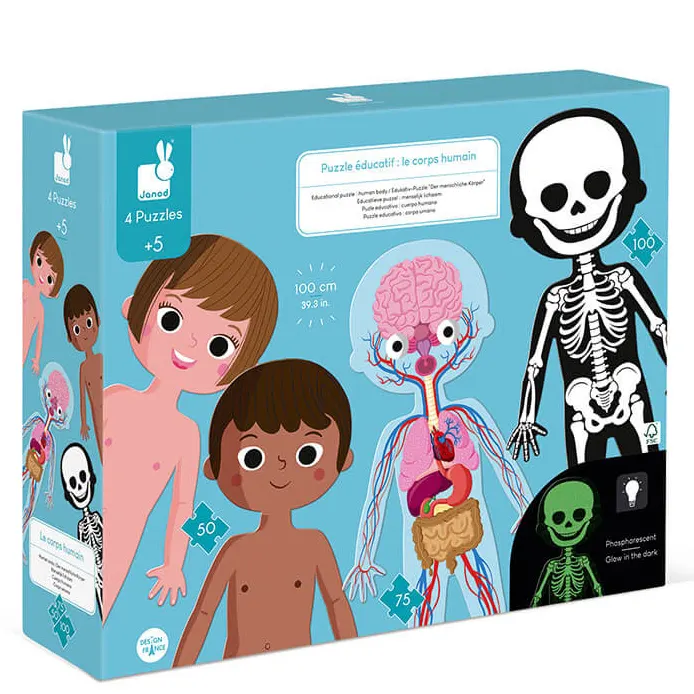 JANOD. Puzzle 4 in 1 (50-50-75-100 pcs) – Human body