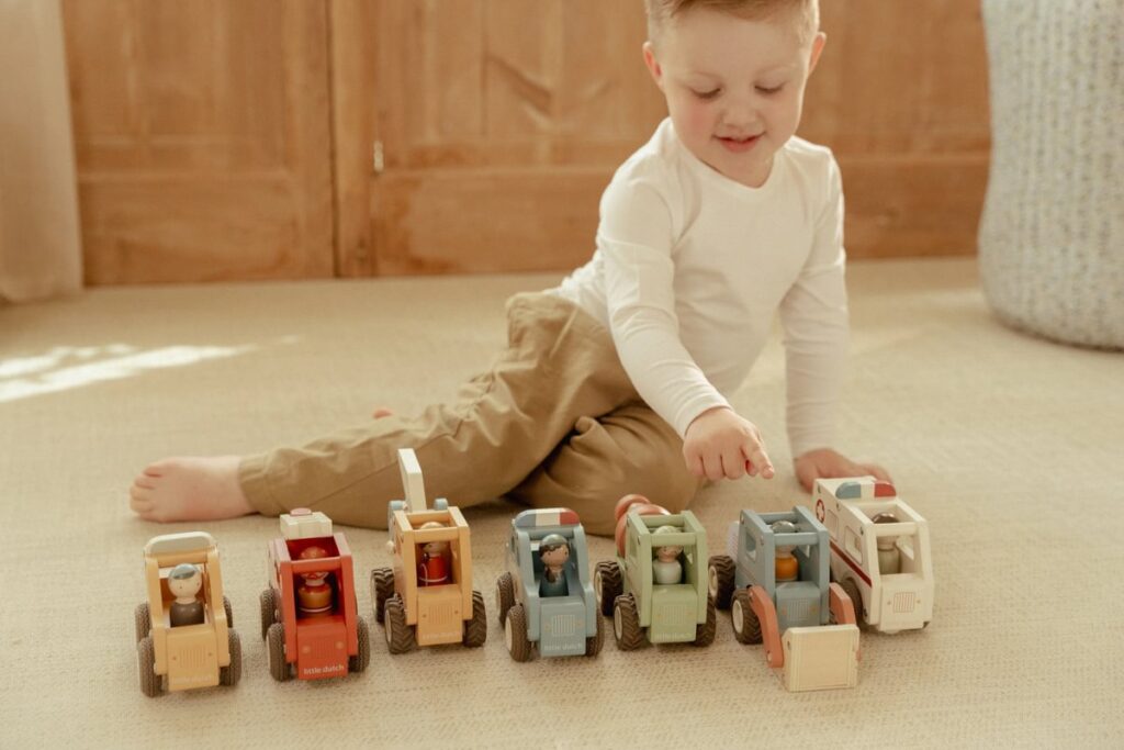 mix-vehicles-ld2529-ld2530-ld2532-ld2531-ld2533-ld2527-ld2528-1-Medium-1024×683-1