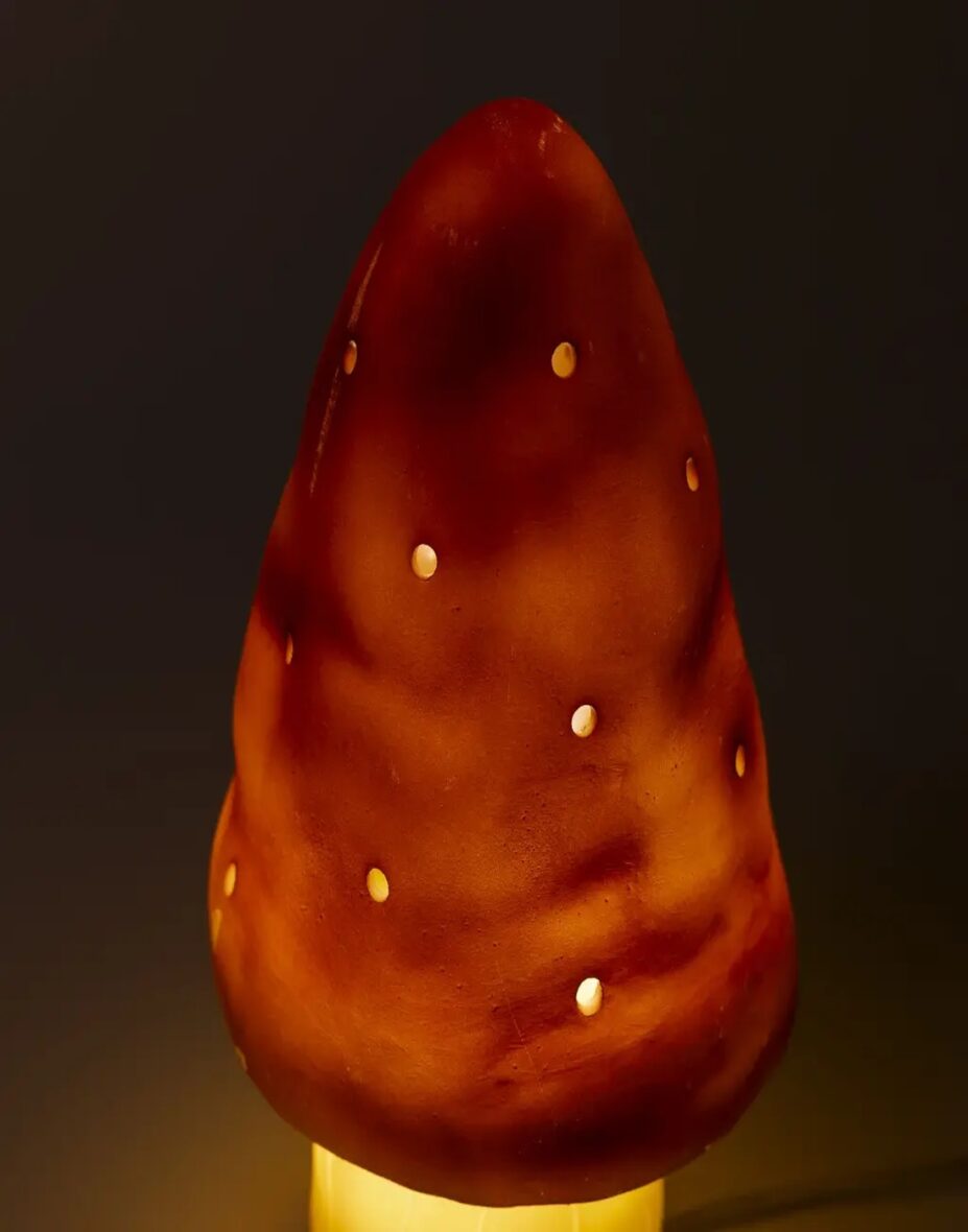 mushroom_red_variant_1100x1400_3